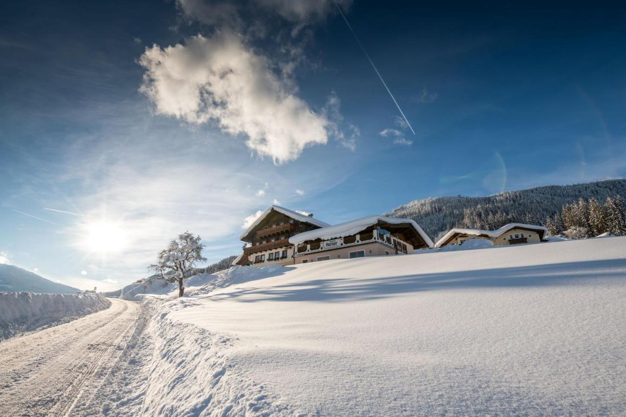 Parchenbauernhof Horner Hotel Flachau Exterior photo